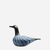 Small Loon