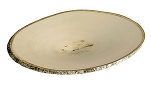 Dinner plate